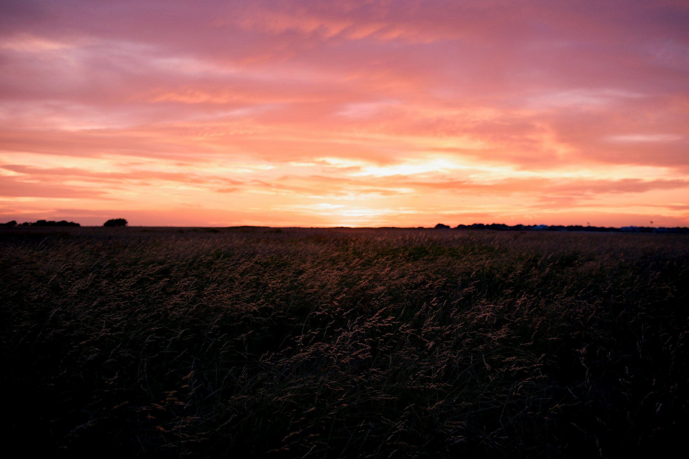 Dusk light over open Texas prairie