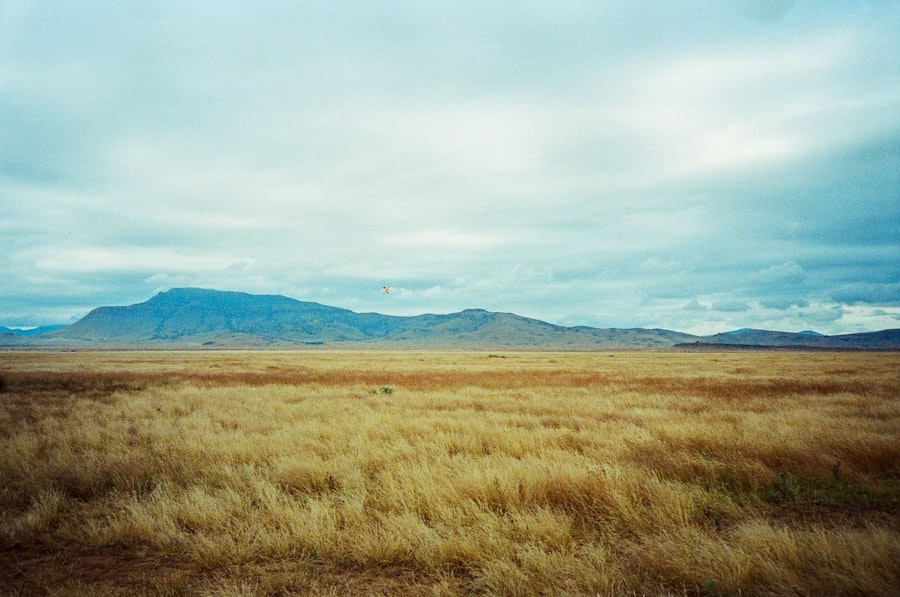 Golden West Texas plains and mesa
